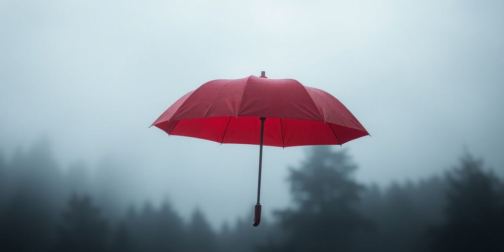 Red umbrella painting in soft light.