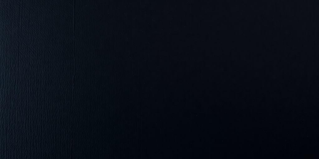 Deep black canvas with subtle textures catching light.